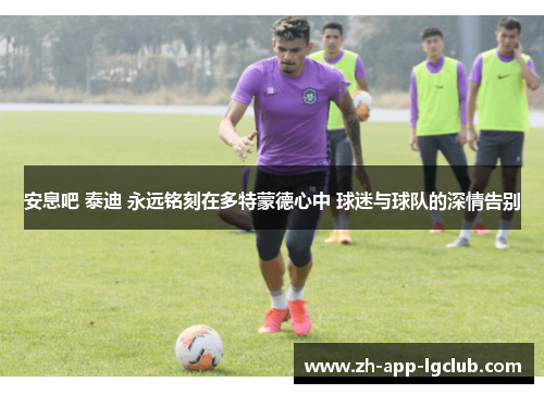 安息吧 泰迪 永远铭刻在多特蒙德心中 球迷与球队的深情告别