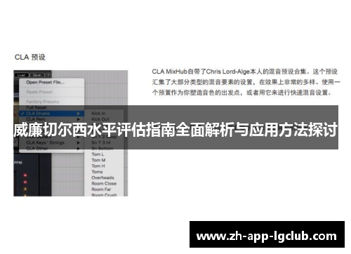 威廉切尔西水平评估指南全面解析与应用方法探讨