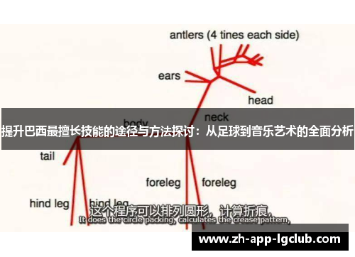 提升巴西最擅长技能的途径与方法探讨:从足球到音乐艺术的全面分析 提升巴西最擅长技能的途径与方法探讨:从足球到音乐艺术的全面分析