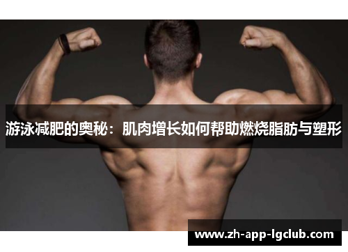 游泳减肥的奥秘:肌肉增长如何帮助燃烧脂肪与塑形 游泳减肥的奥秘:肌肉增长如何帮助燃烧脂肪与塑形