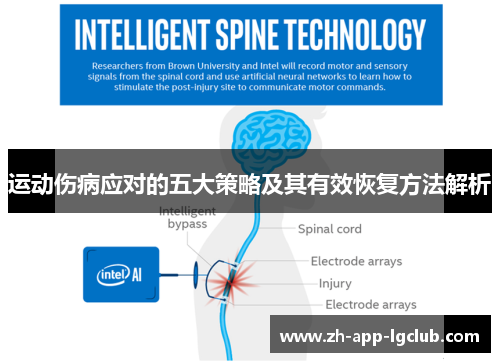 运动伤病应对的五大策略及其有效恢复方法解析 运动伤病应对的五大策略及其有效恢复方法解析