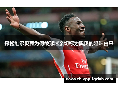 探秘维尔贝克为何被球迷亲切称为黑贝的趣味由来