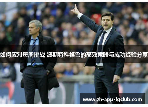 如何应对每周挑战 波斯特科格鲁的高效策略与成功经验分享